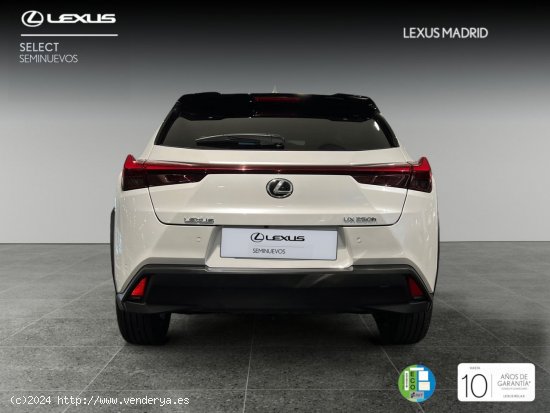 Lexus UX 2.0 250h Premium - Madrid