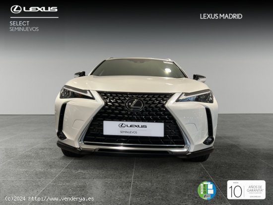 Lexus UX 2.0 250h Premium - Madrid