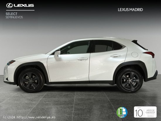 Lexus UX 2.0 250h Premium - Madrid