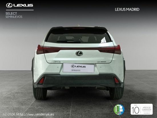 Lexus UX 2.0 250h Premium - Madrid