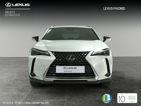 Lexus UX 2.0 250h Premium - Madrid