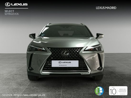 Lexus UX 2.0 250h Premium - Madrid