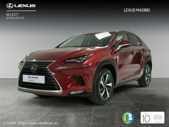  Lexus NX 2.5 300h Luxury 4WD - Madrid 