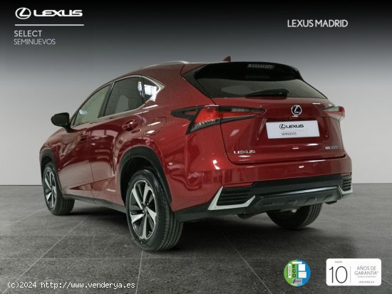 Lexus NX 2.5 300h Luxury 4WD - Madrid