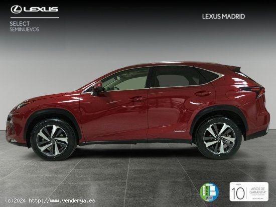 Lexus NX 2.5 300h Luxury 4WD - Madrid