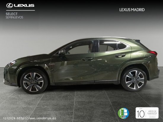 Lexus UX 2.0 250h Luxury - Madrid