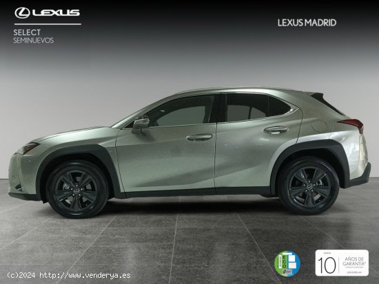 Lexus UX 2.0 250h Premium - Madrid