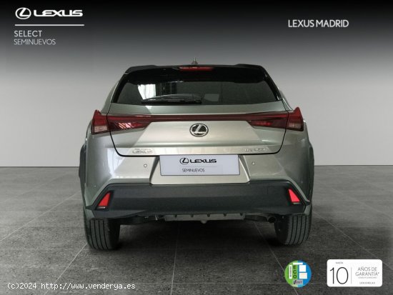 Lexus UX 2.0 250h Premium - Madrid