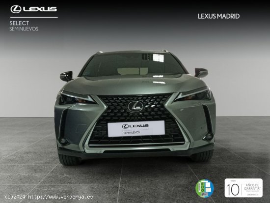 Lexus UX 2.0 250h Premium - Madrid