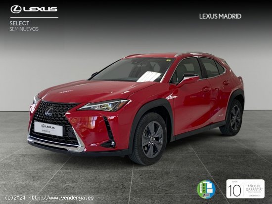  Lexus UX 2.0 250h Business - Madrid 