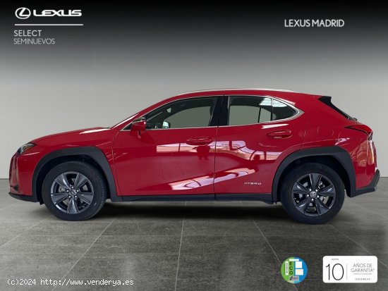 Lexus UX 2.0 250h Business - Madrid