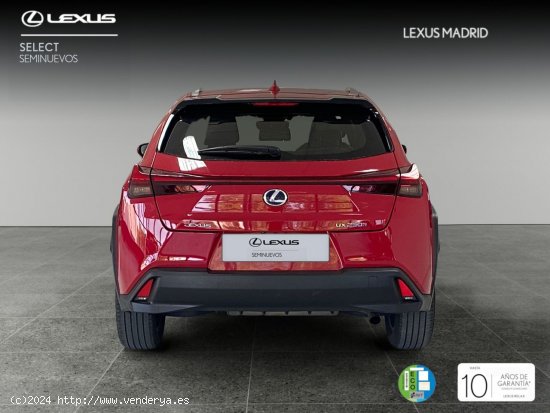 Lexus UX 2.0 250h Business - Madrid