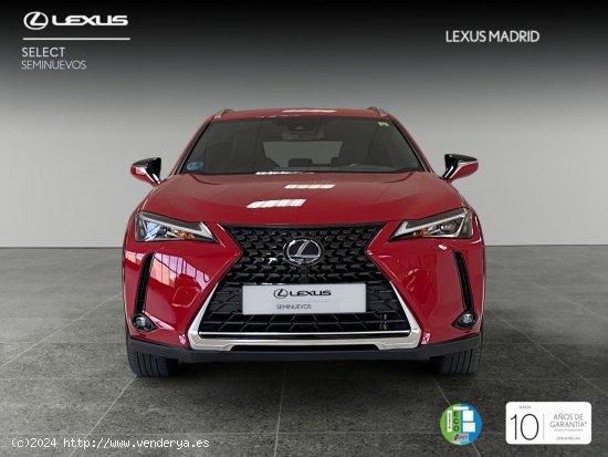 Lexus UX 2.0 250h Business - Madrid