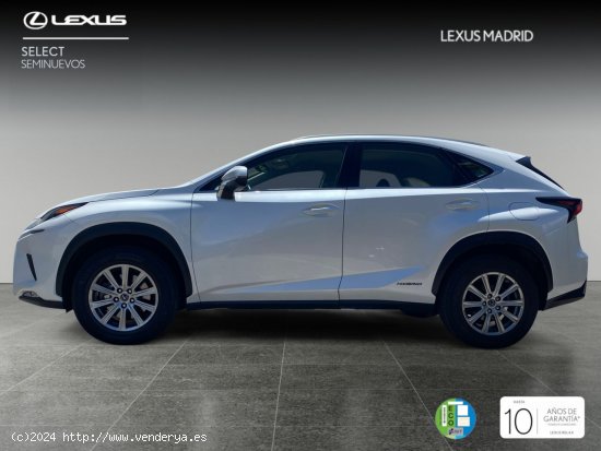 Lexus NX 2.5 300h Business Navigation 2WD - Madrid