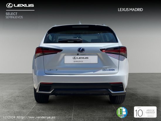 Lexus NX 2.5 300h Business Navigation 2WD - Madrid