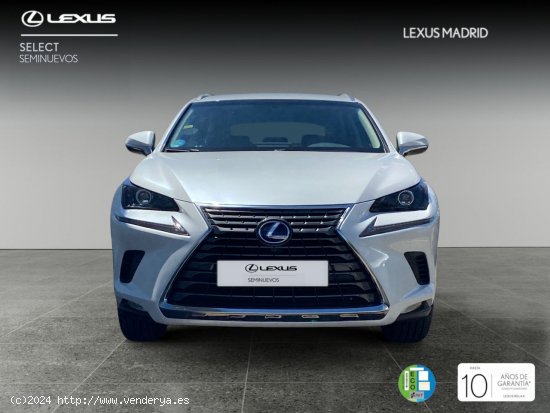 Lexus NX 2.5 300h Business Navigation 2WD - Madrid