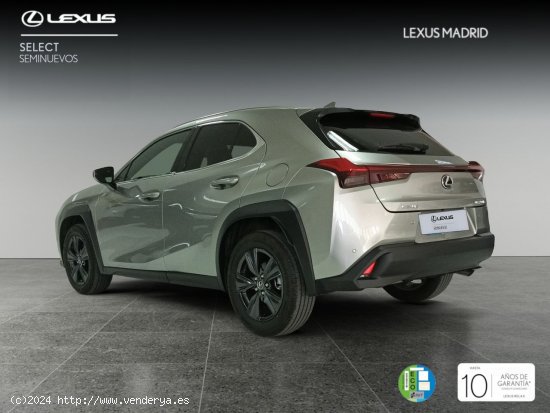 Lexus UX 2.0 250h Premium - El Plantío