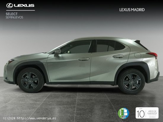 Lexus UX 2.0 250h Premium - El Plantío