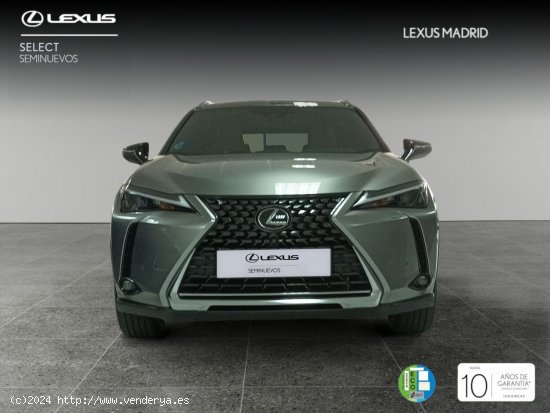 Lexus UX 2.0 250h Premium - El Plantío