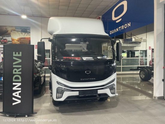 BYD Dolphin QUANTRON QARGO 4 EV - Lugo