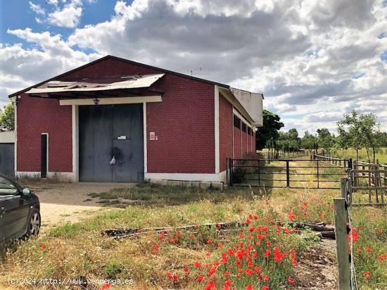 FINCA DE RECREO EN VENTA EN VALORIA LA BUENA - VALLADOLID