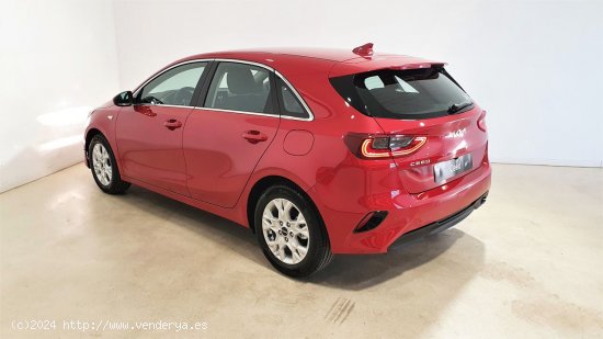 Kia Ceed 1.6 MHEV iMT 100kW (136CV) Drive - 