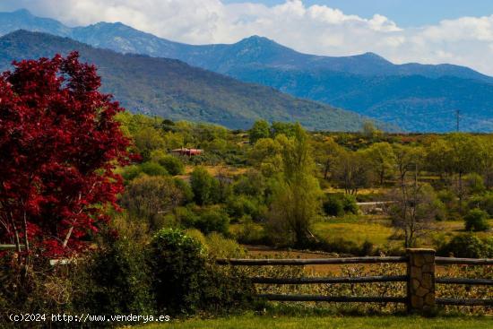 Se Vende en Jarandilla de la Vera - CACERES