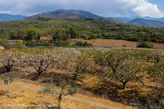 Se Vende en Jarandilla de la Vera - CACERES