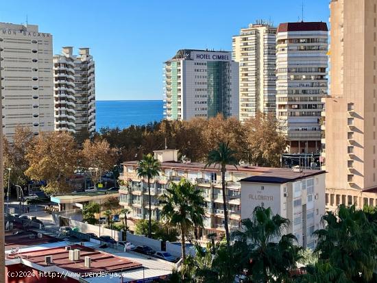 Apartamento de 1 dorm, con licencia turística en zona Playa de Levante- www.inmobiliarialesdunes.co