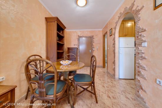 BONITO APARTAMENTO EN TORREVIEJA CON PISCINA COMUNITARIA - ALICANTE