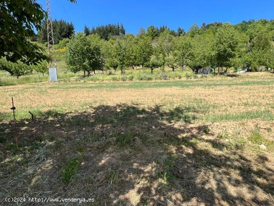 OPORTUNIDAD DE ADQUIRIR UN TERRENO EN UNA DE LAS ZONAS RURALES MAS DEMANDADAS DEL BIERZO - LEON