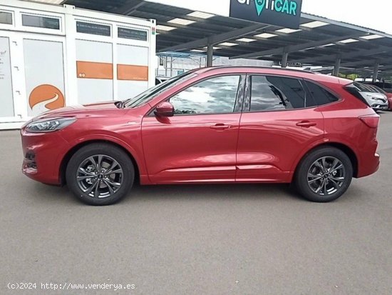 Ford Kuga 1.5 EcoBlue 88kW (120CV) ST-Line - 