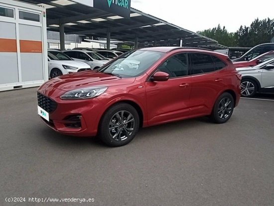 Ford Kuga 1.5 EcoBlue 88kW (120CV) ST-Line - 