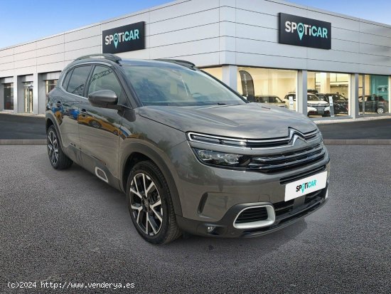 Citroën C5 Aircross PureTech 96kW (130CV) S&S EAT8 Shine Pac - 