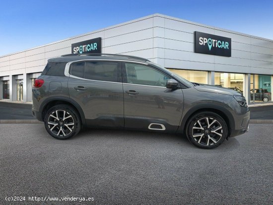 Citroën C5 Aircross PureTech 96kW (130CV) S&S EAT8 Shine Pac - 