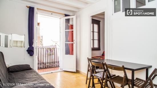 Acogedora habitación con armario independiente en piso compartido, El Raval - BARCELONA