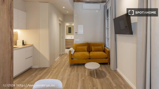 Apartamento de 1 dormitorio en alquiler en El Barri Gotic, Barcelona - BARCELONA