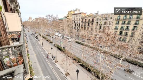 Se alquilan habitaciones en piso de 9 habitaciones en L'Eixample - BARCELONA