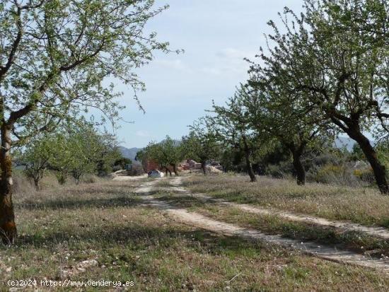 Finca rústica en Bot - TARRAGONA