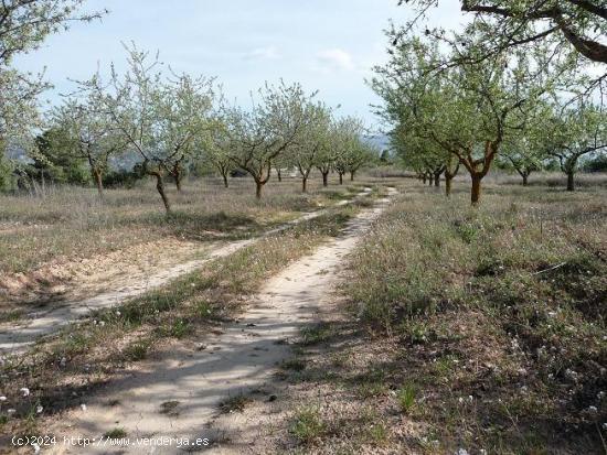 Finca rústica en Bot - TARRAGONA