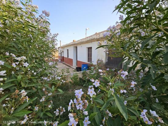 DOS CASAS CON TERRENO A LA VENTA EN FUENTE ÁLAMO - MURCIA