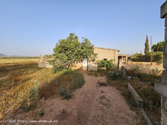 DOS CASAS CON TERRENO A LA VENTA EN FUENTE ÁLAMO - MURCIA