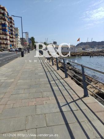 LOCAL COMERCIAL JUNTO AL PASEO DE PARRA - MURCIA