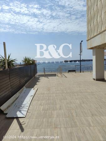 LOCAL COMERCIAL JUNTO AL PASEO DE PARRA - MURCIA