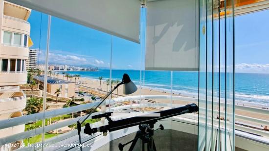 APARTAMENTO EN PRIMERA LINEA DE LA PLAYA DE MUCHAVISTA - ALICANTE