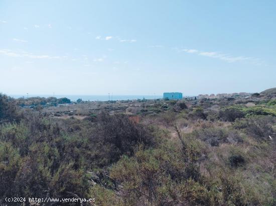  Gran Oportunidad de Parcela en Guardamar Hills, Alicante, Costa Blanca - ALICANTE 