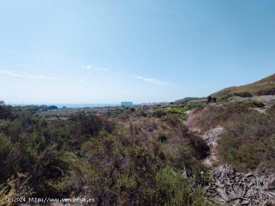 Gran Oportunidad de Parcela en Guardamar Hills, Alicante, Costa Blanca - ALICANTE