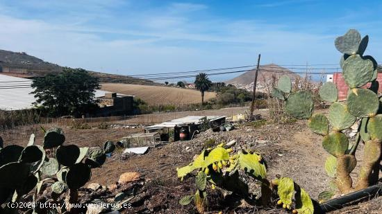  Se Vende en Santa Maria de Guia - LAS PALMAS 