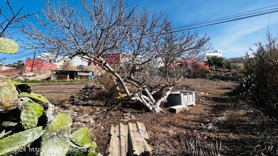 Se Vende en Santa Maria de Guia - LAS PALMAS