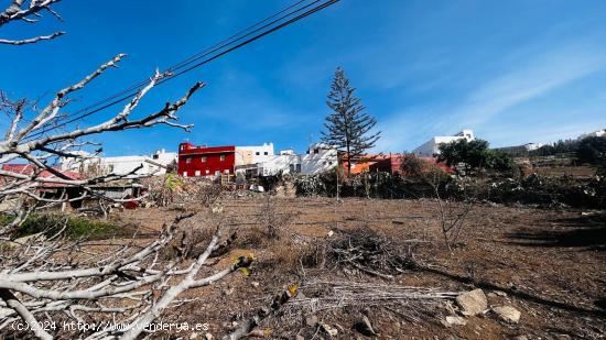 Se Vende en Santa Maria de Guia - LAS PALMAS